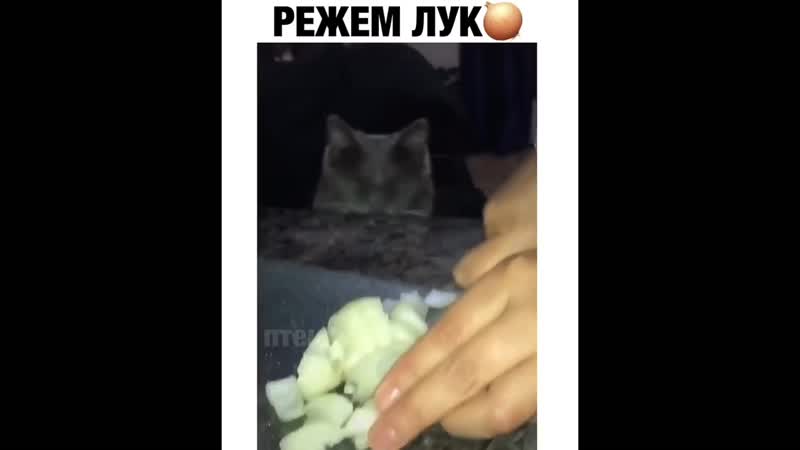 Режем лук