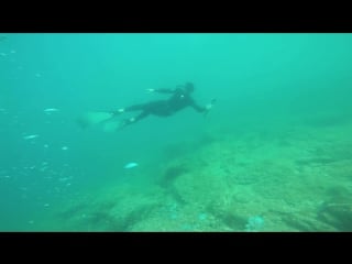 Freedive croatia 28 8 2016