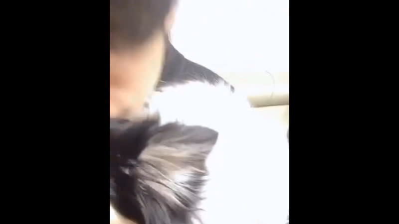 Да я зоофил не говори лучше мне собачку подари