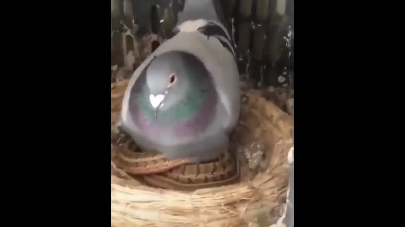 Хейтеры скажут фотошоп!