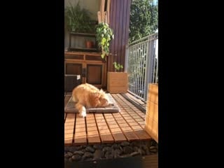 Her favorite spot to soak up some evening rays after dinner