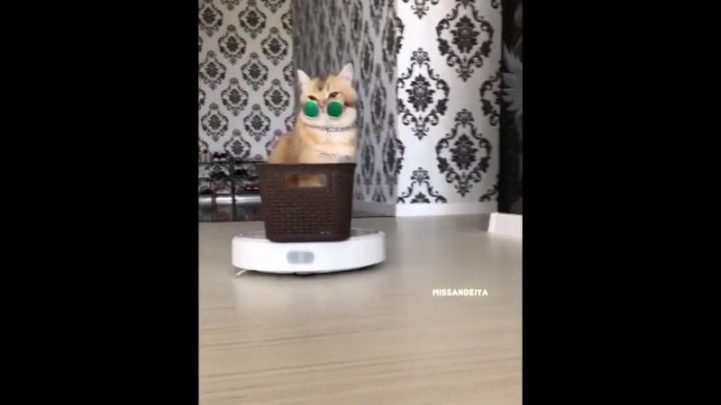 Босс подъехал