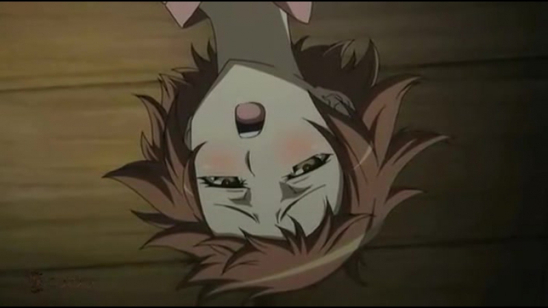 Seikon no qwaser [13] [uncensored][tf anigroup]