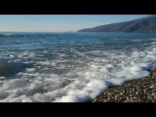 Androvid join 7950 5699 mp4