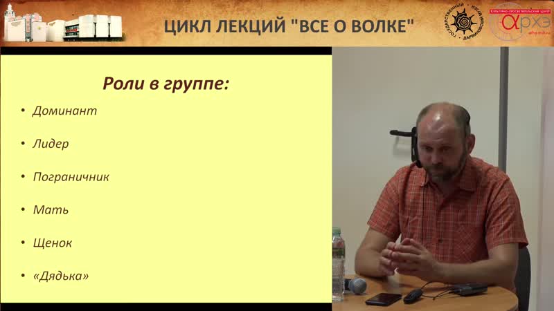 Андрей тупикин бездомные молодые глазами биолога (2)