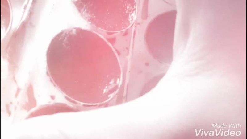 Безлад кери смит заданиеиспорть футболку/by lizka