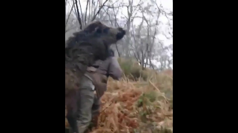 Своя ноша не тянет mp4