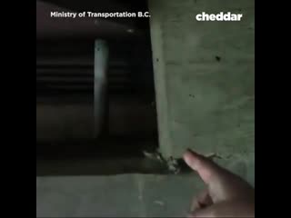 This is how they inspect the underside of bridges