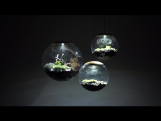 Globe terrarium дизайн студии ричарда кларксона