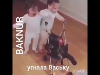 Угнала ваську