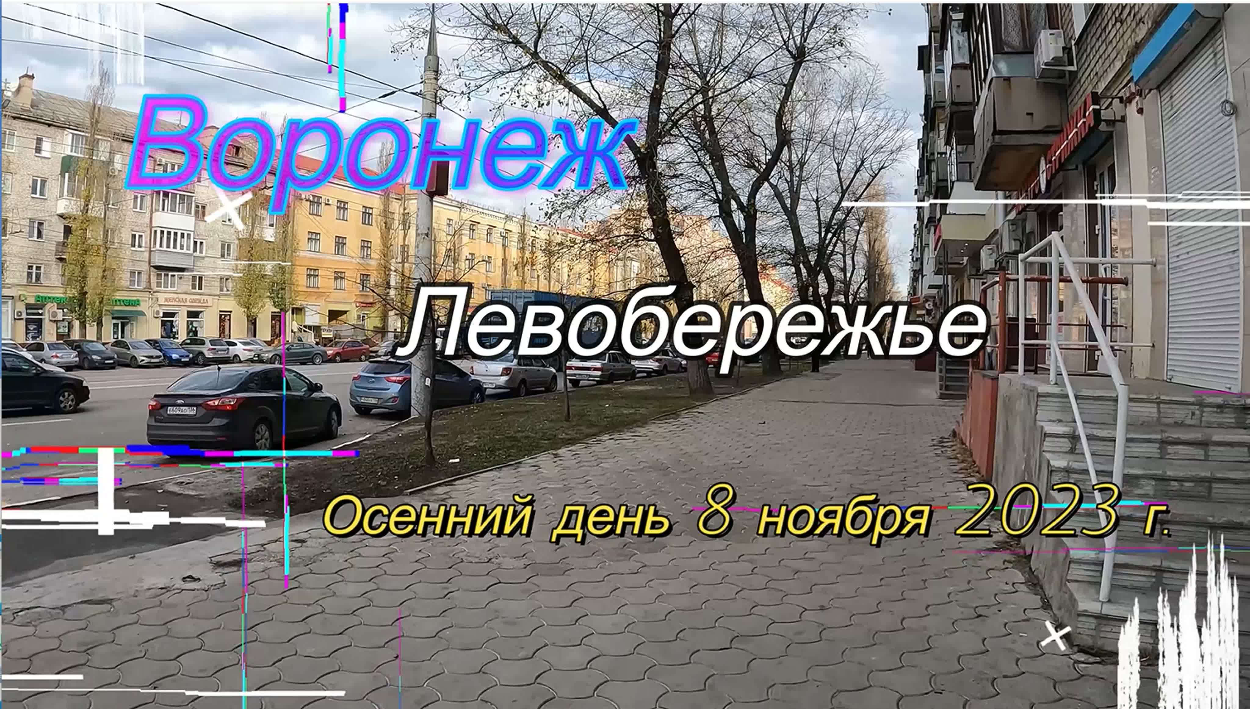 Воронеж, левобережье, осенний день 8 ноября 2023 г