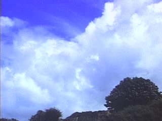 Tortoise dear grandma and grandpa