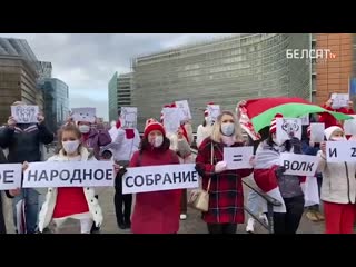 Беларусы в бельгии выразили свое отношение к внс