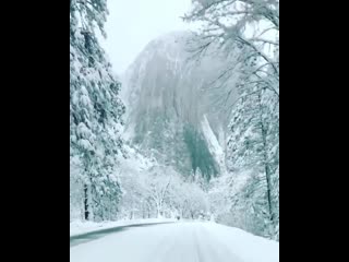 🔥 a ride through yosemite national park 🔥