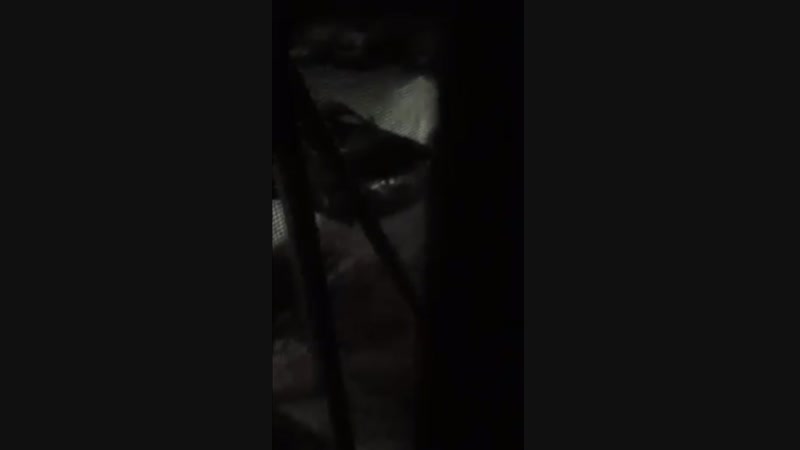 Психически неуравновешенная женщина домогается до соседки