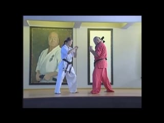 Lessons kyokushinkai elena vorobyova