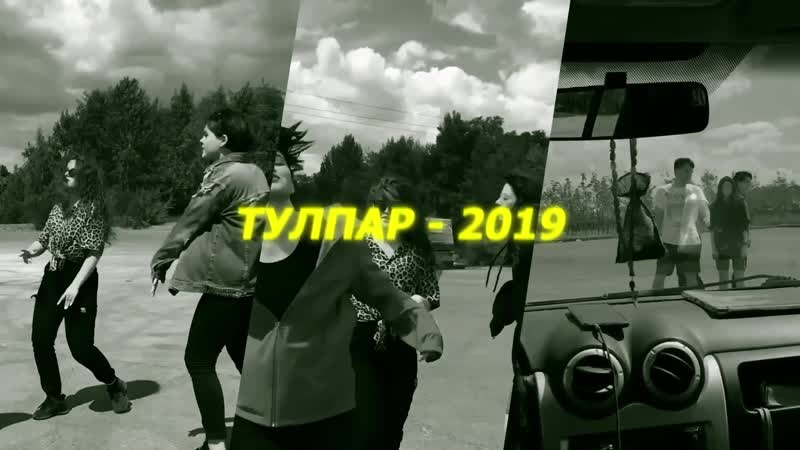 Сәләт тулпар минем сайлавым (2019)