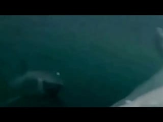 Молодой худощавый парень трахает грудастую маму своего друга