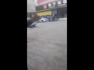 Поймал какашку порно 18+