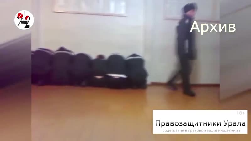 +18 новичков в колонии молодые черенком