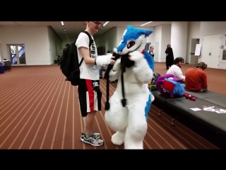 Sergal porn ac 2015