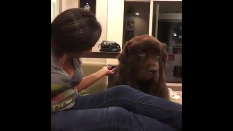 Понял свой косяк и признал вину