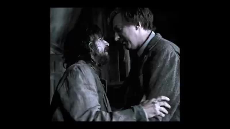 Sirius black &amp; remus lupin | harry potter