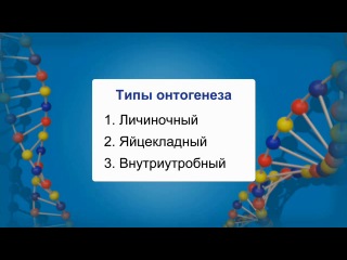 Биология 10 класс урок 45 закономерности размножения и развития организмов (обобщающий урок)