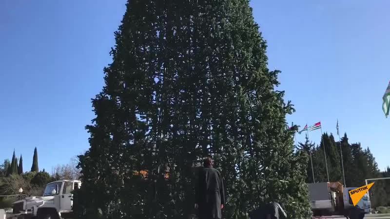 В сухуме демонтировали новогоднюю елку