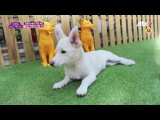 Lena @ grand budaguest ep 3 cut (190617)