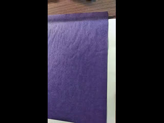 Янка дягилева