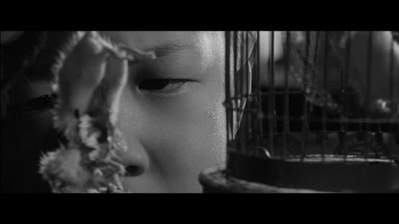 今村昌平 赤い殺意 [shohei imamura intentions of porn], 1964