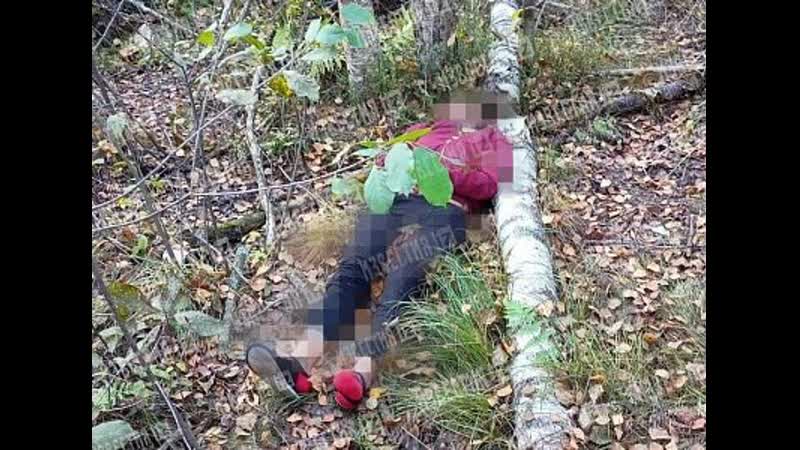 В ленинградской области обнаружили женский труп без глаз