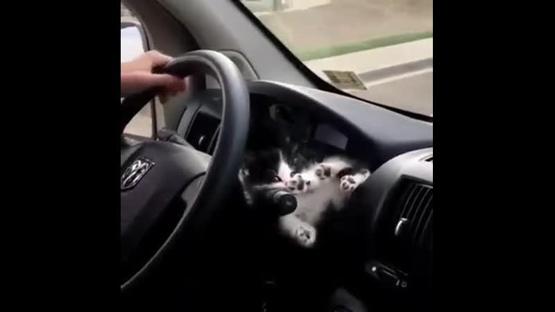 Симпатичный аксессуар ))