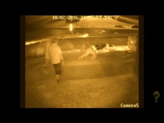 Хозяин отчаянно защитил свою собаку от двух напавших питбулей (vhs video)