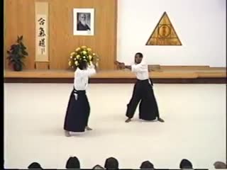 1988 shihankai public demonstration 08 shihan kazuo chiba