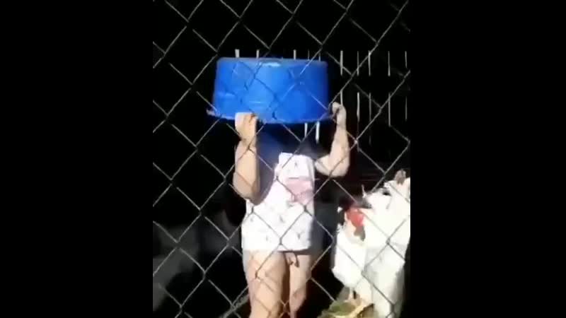 Нелоо получилось