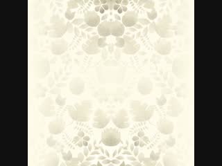 Video 20190210 013334 mp4