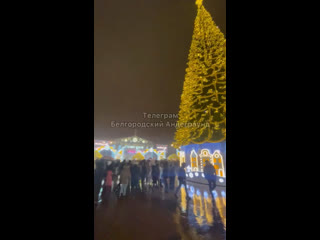 🎄главную новогоднюю ёлку зажгли!