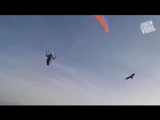 Best videos compilation week 3 april 2016 jukinvideo