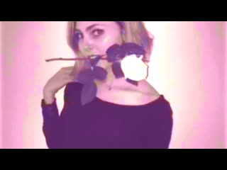 Summer of haze dear jessie see the roses