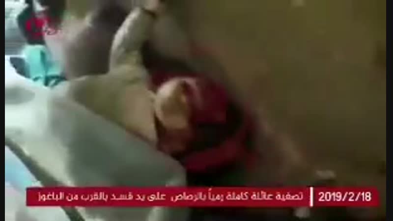 Ряд местных сми и источников сообщил об молодые ополченцами рпк (сдф) женщины и ее шести детей в населенном пункте багуз на вос