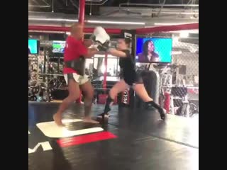 Cat zingano / training