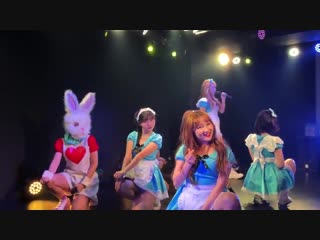 Pinkfantasy japan concert 新宿アイドルステージ 2部 이리와ここに来て iriwa part 1 @mydoll ent 핑