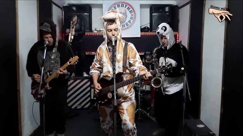 Rock smena 2020 | live | щепотка позднера хорошо!