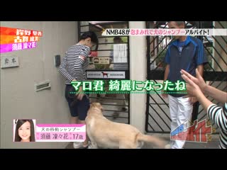 (nmb48) nmb no meccha baito ep14 141014