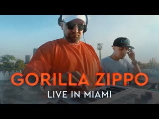 Трансляция i hd [ o4 o5 2o2o ] ► gorilla zippo live in miami 2o2o