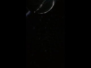 Live наше рыбацкое