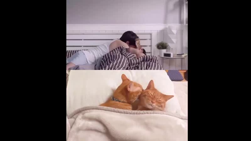 История тарна и тайпа мью галф