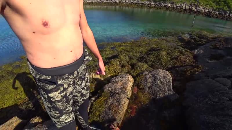 [vitalik ignatyuk] подводная охота на гигантских крабов в норвегии жареные крабы на гриле